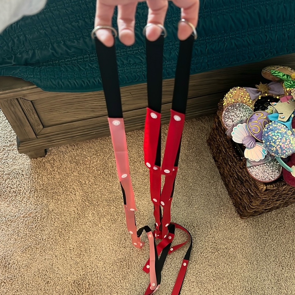Disney Ear Holders